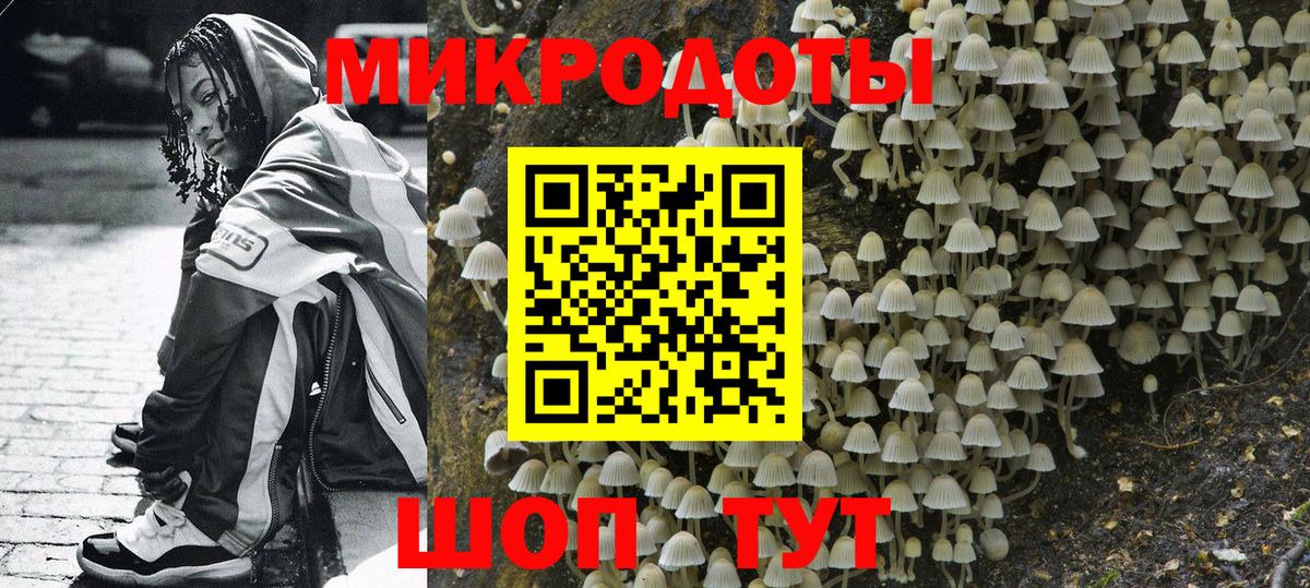 Галлюциногенные грибы мицелий Новоалександровск