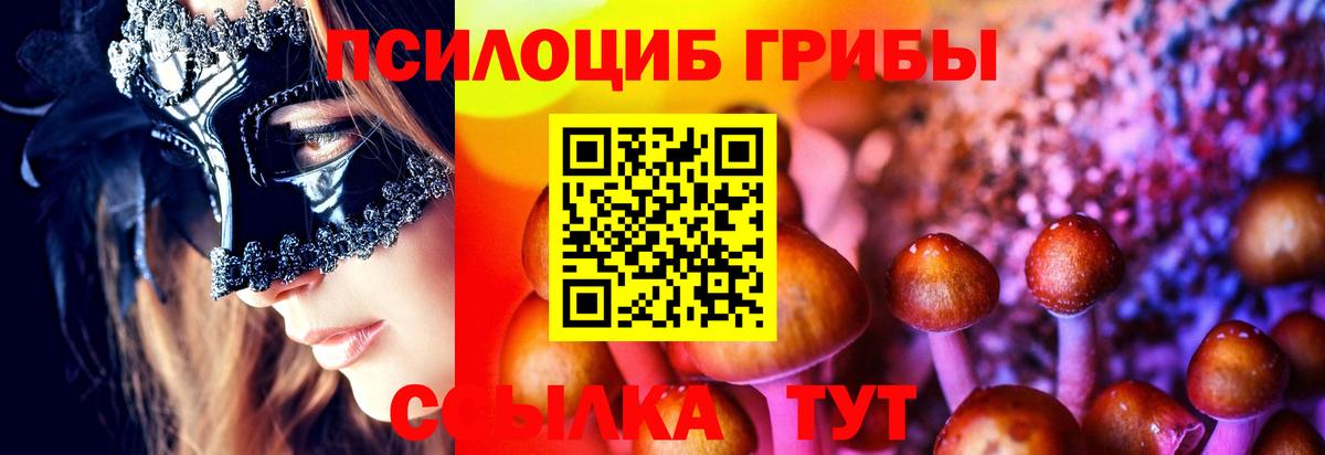 Новоалександровск  Галлюциногенные грибы прущие грибы  Вход с VPN  Псилоцибиновые грибы MAGIC MUSHROOMS 